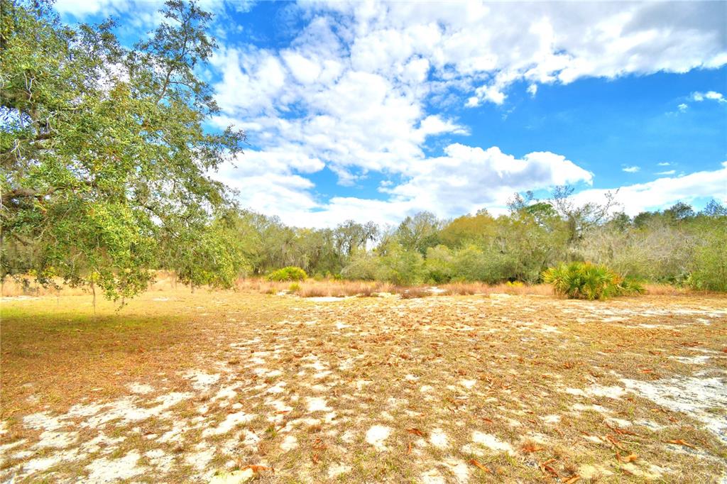 23 Armadillo Road Frostproof, FL 33843 - Photo 44 of 47