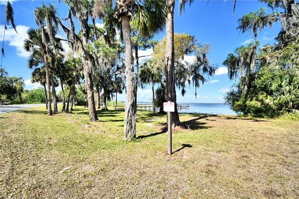 a view of a yard with palm tree