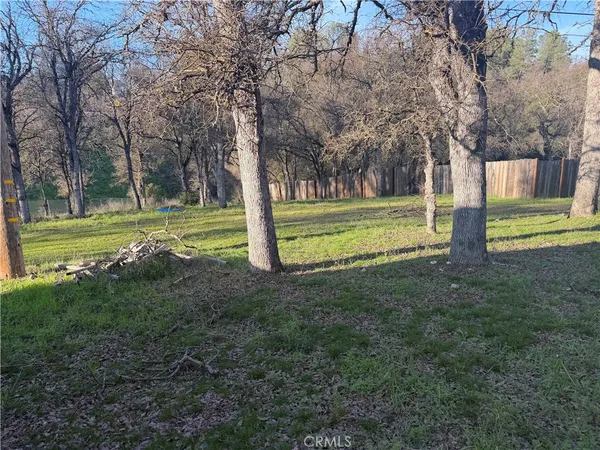 a view of a trees in a yard