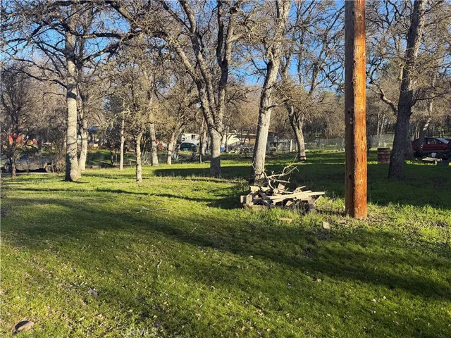 a view of a park with large trees