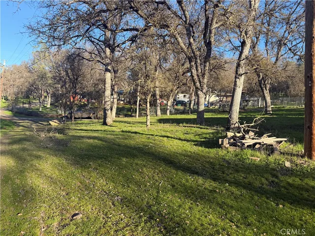 a view of a park with large trees