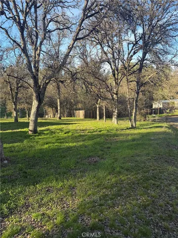 a big yard with trees in the background