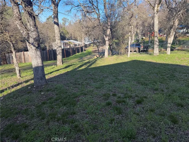 a view of a park with large trees