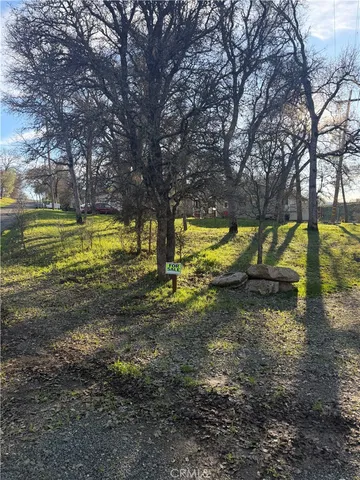 a view of a yard with a tree