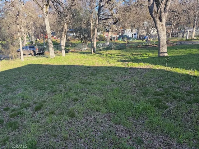 a view of a park with large trees