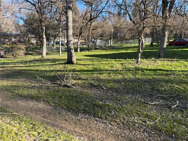 a garden view with a fountain