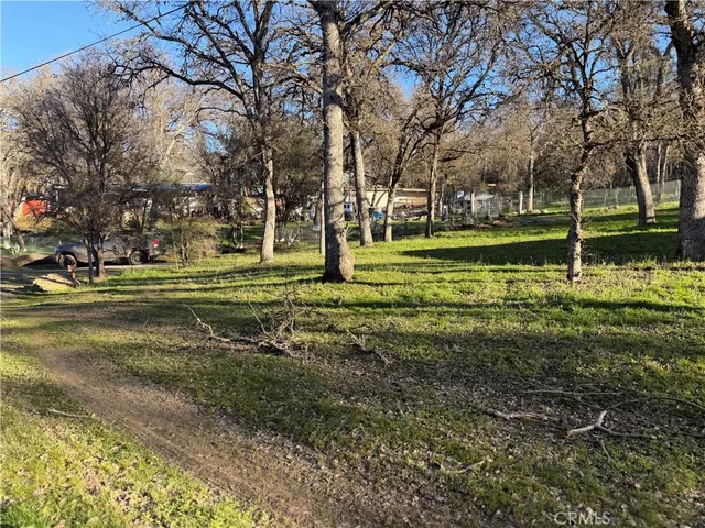 a view of a park with large trees