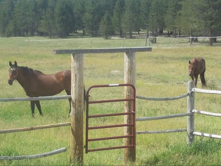 9241 Split Rail Road La Pine, OR 97739 - Photo 55 of 57 Pasture View