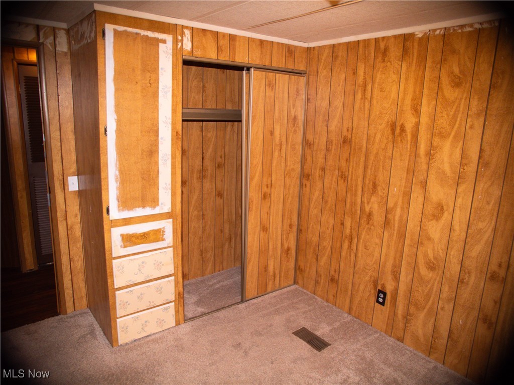 332 Max Road Lodi, OH 44254 - Photo 13 of 22 Unfurnished room featuring wood walls and dark carpet