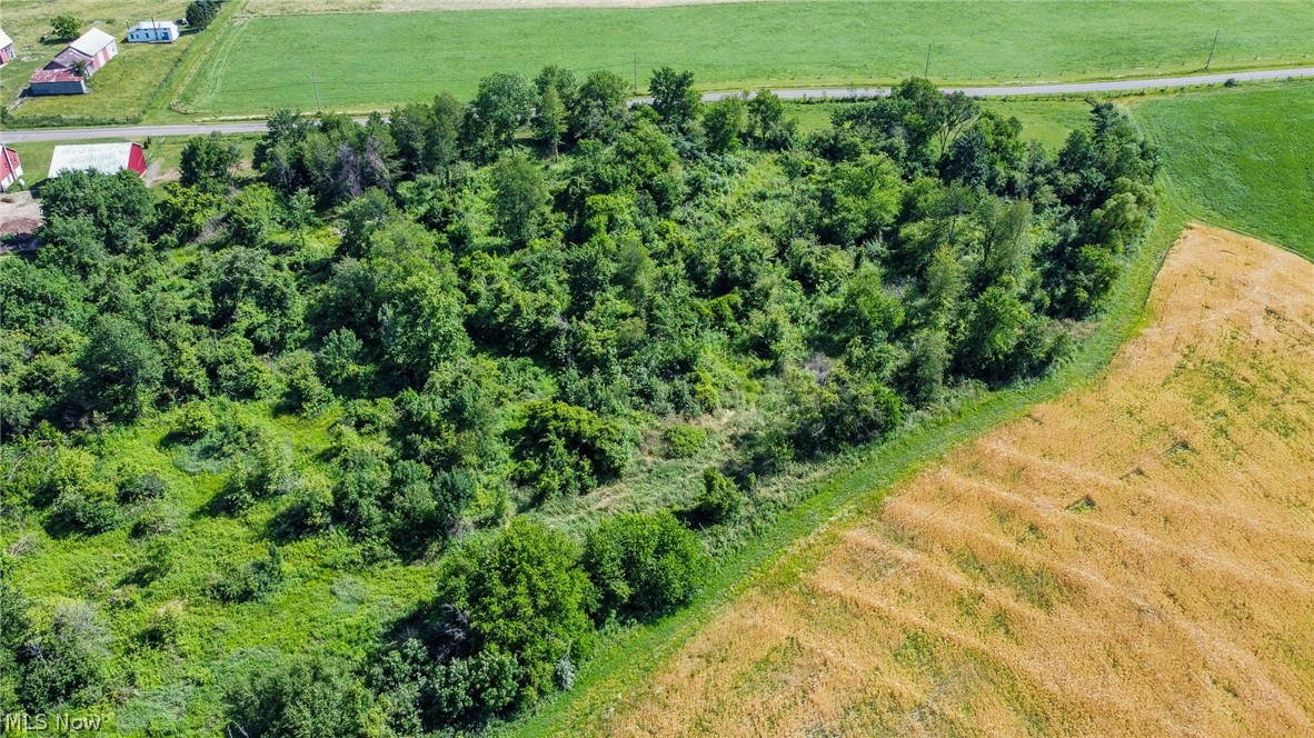 Holshoe Road Homerville, OH 44235 - Photo 15 of 28