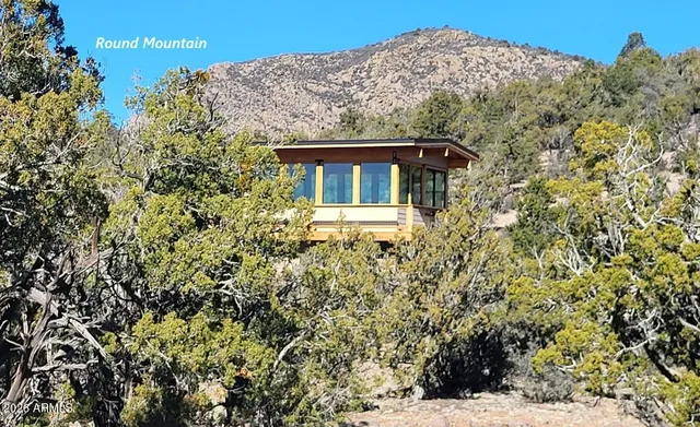a view of a house with a tree