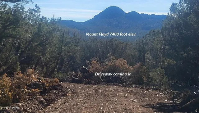 a view of a stone house with a yard