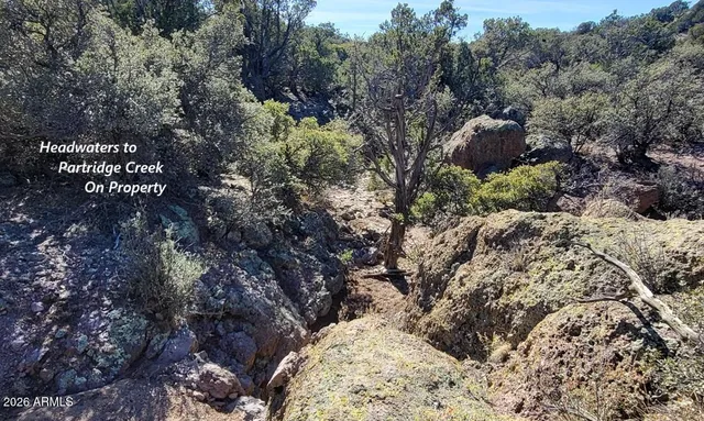 a view of an outdoor space with a swimming pool