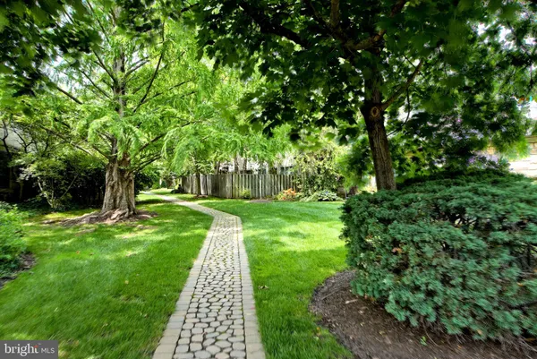 a view of a yard with plants and a large tree