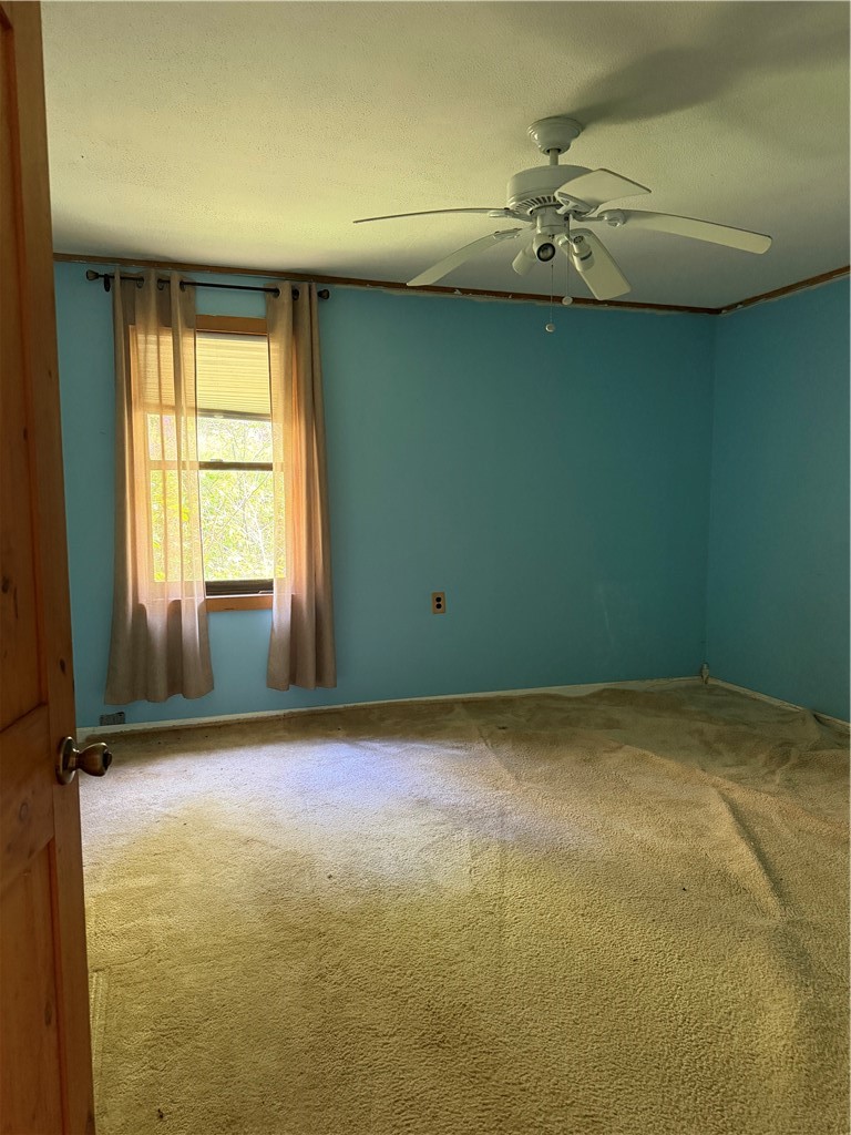 756 Enfield Falls Road Enfield, NY 14850 - Photo 21 of 30