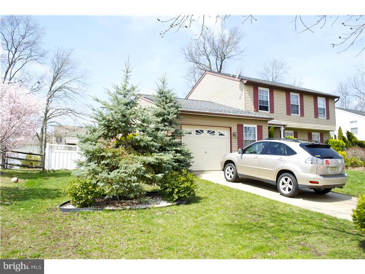Side Yard