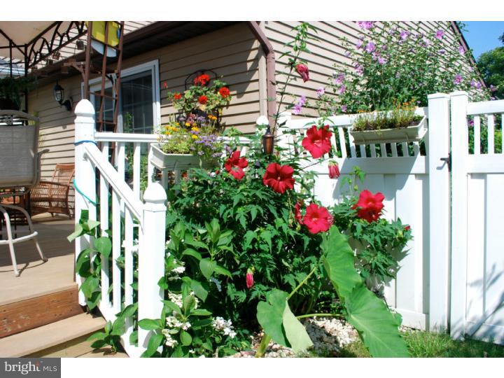 13 Raleigh Lane Evesham, NJ 08053 - Photo 20 of 20 Back Yard