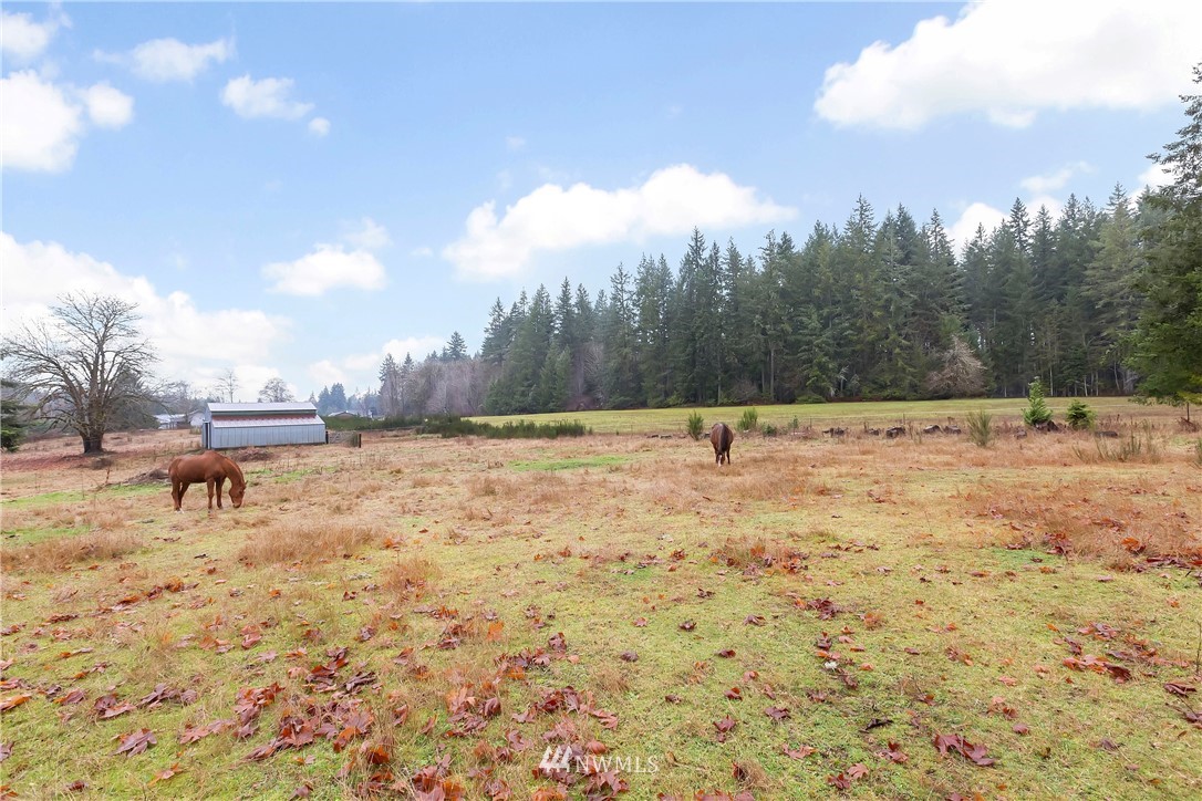 151 Southeast Stroud Road Shelton, WA 98584 - Photo 20 of 28 Gallery Image 20