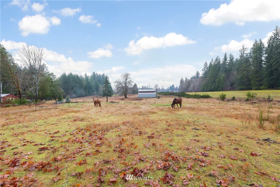 151 Southeast Stroud Road Shelton, WA 98584 - Photo 27 of 28 Gallery Image 27