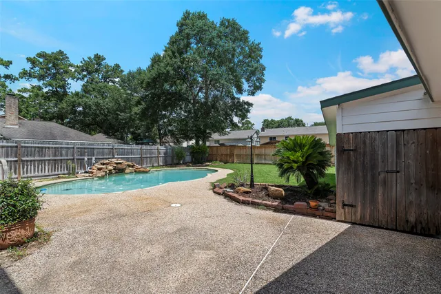a view of a backyard with potted plants and a large tree