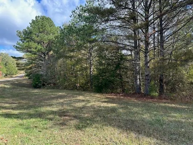 a view of a field with trees in the background