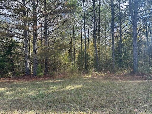 0 Raymond McAnally Road Savannah, TN 38372 - Photo 2 of 5 a view of outdoor space with trees
