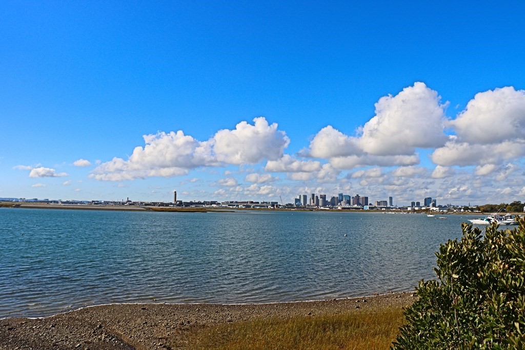 82 St Andrew Road Boston, MA 02128 - Photo 17 of 20