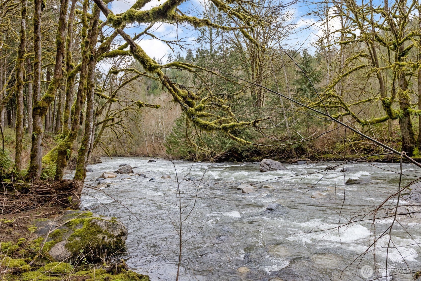 6639 Preston-Fall City Road Southeast Fall City, WA 98024 - Photo 5 of 40