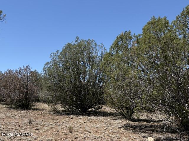 356 A Sierra Verde Ranch Seligman, AZ 86337 - Photo 7 of 8 a view of outdoor space and yard