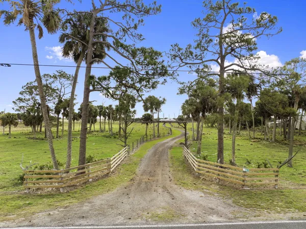 a view of a park with large trees