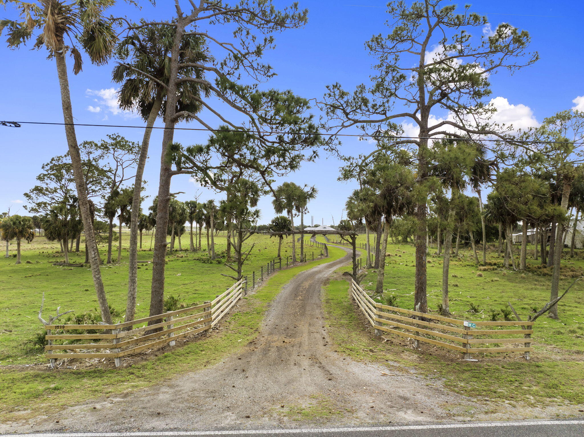a view of a park with large trees