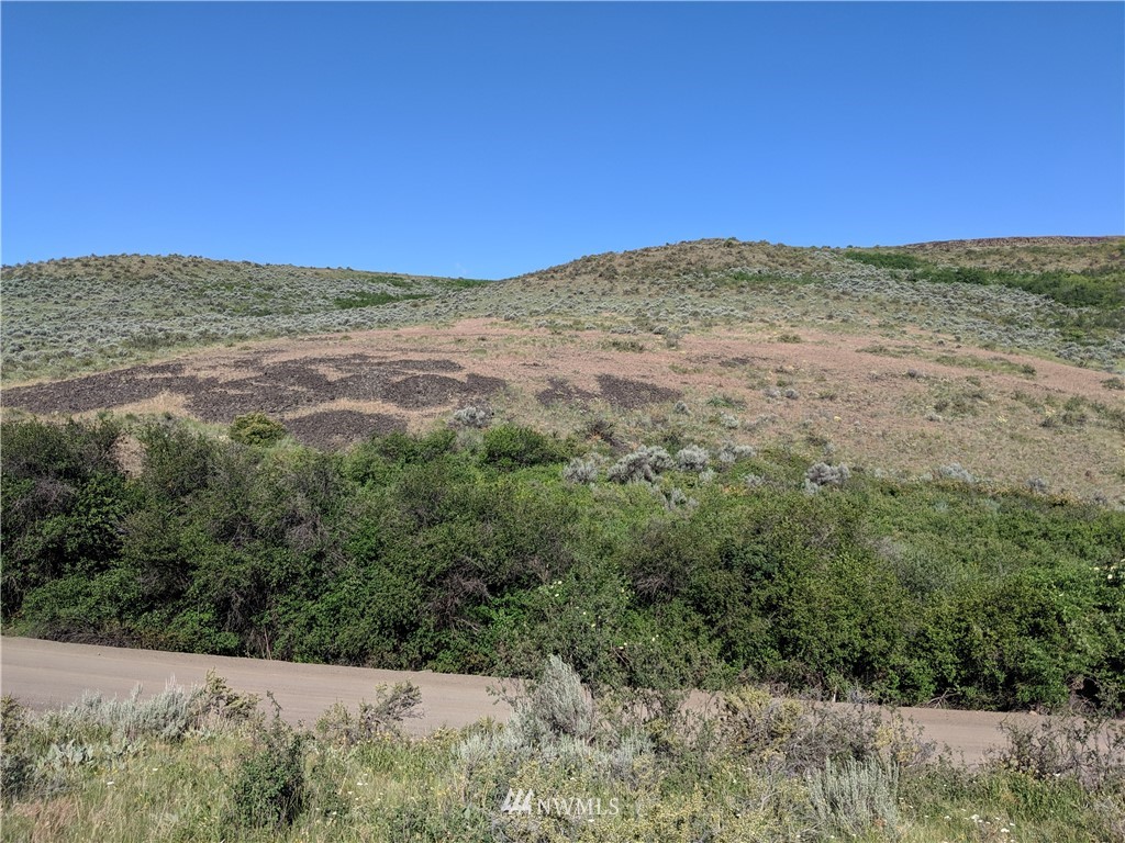 0 Titchenal Canyon Road Southwest East Wenatchee, WA 98802 - Photo 1 of 9 Gallery Image 1