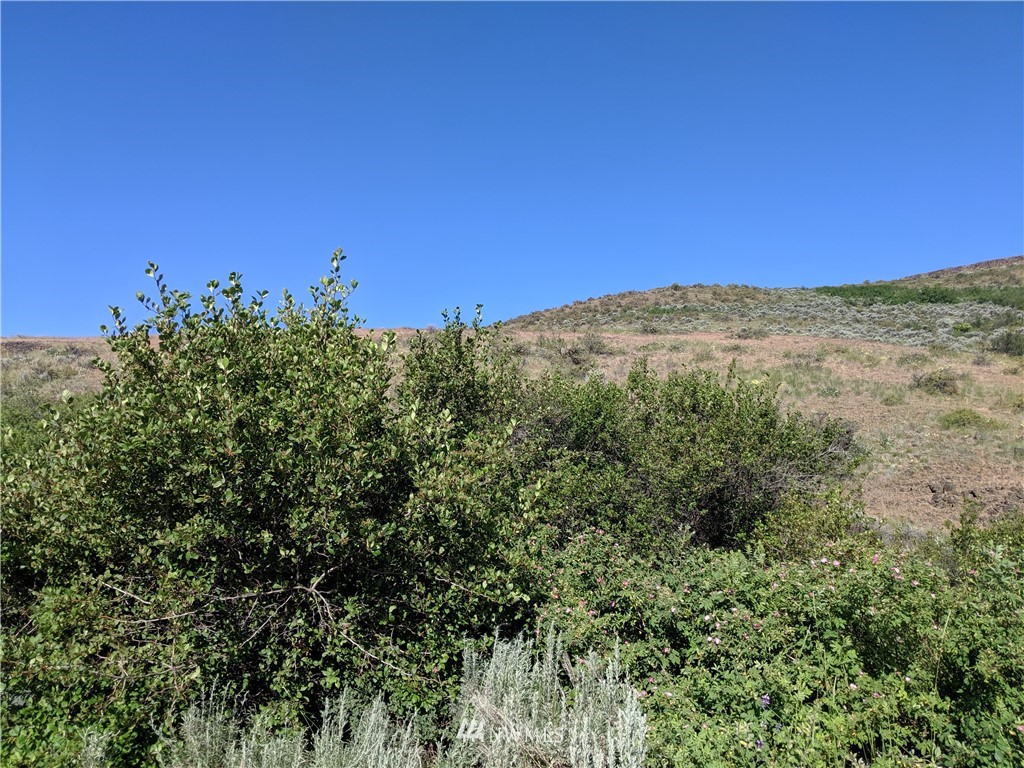 0 Titchenal Canyon Road Southwest East Wenatchee, WA 98802 - Photo 2 of 9 Gallery Image 2