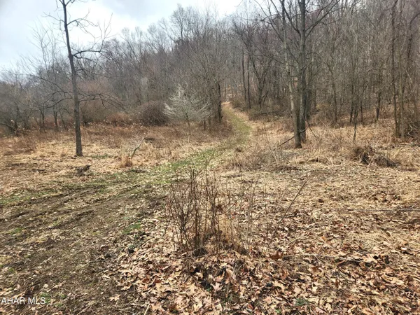 $110,000 | 303 Wake Road, Buffalo Mills, PA 15534