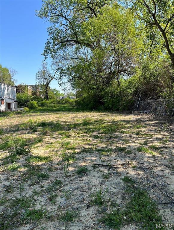 5937 Julian Avenue St. Louis, MO 63112 - Photo 2 of 5