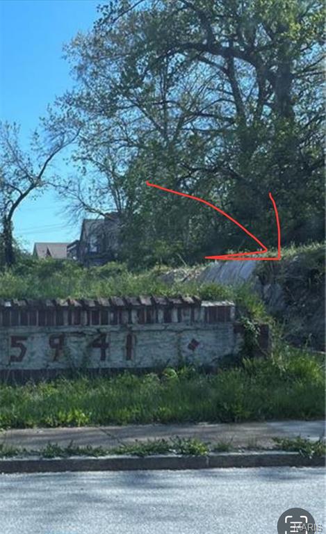 5937 Julian Avenue St. Louis, MO 63112 - Photo 5 of 5