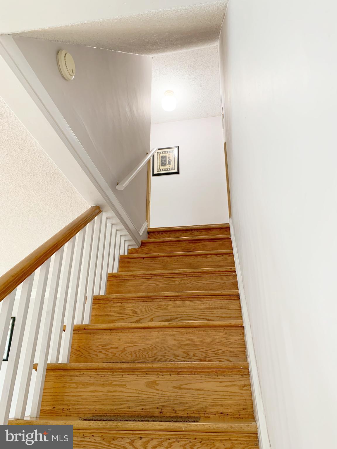208 Ripka Street Philadelphia, PA 19127 - Photo 17 of 40