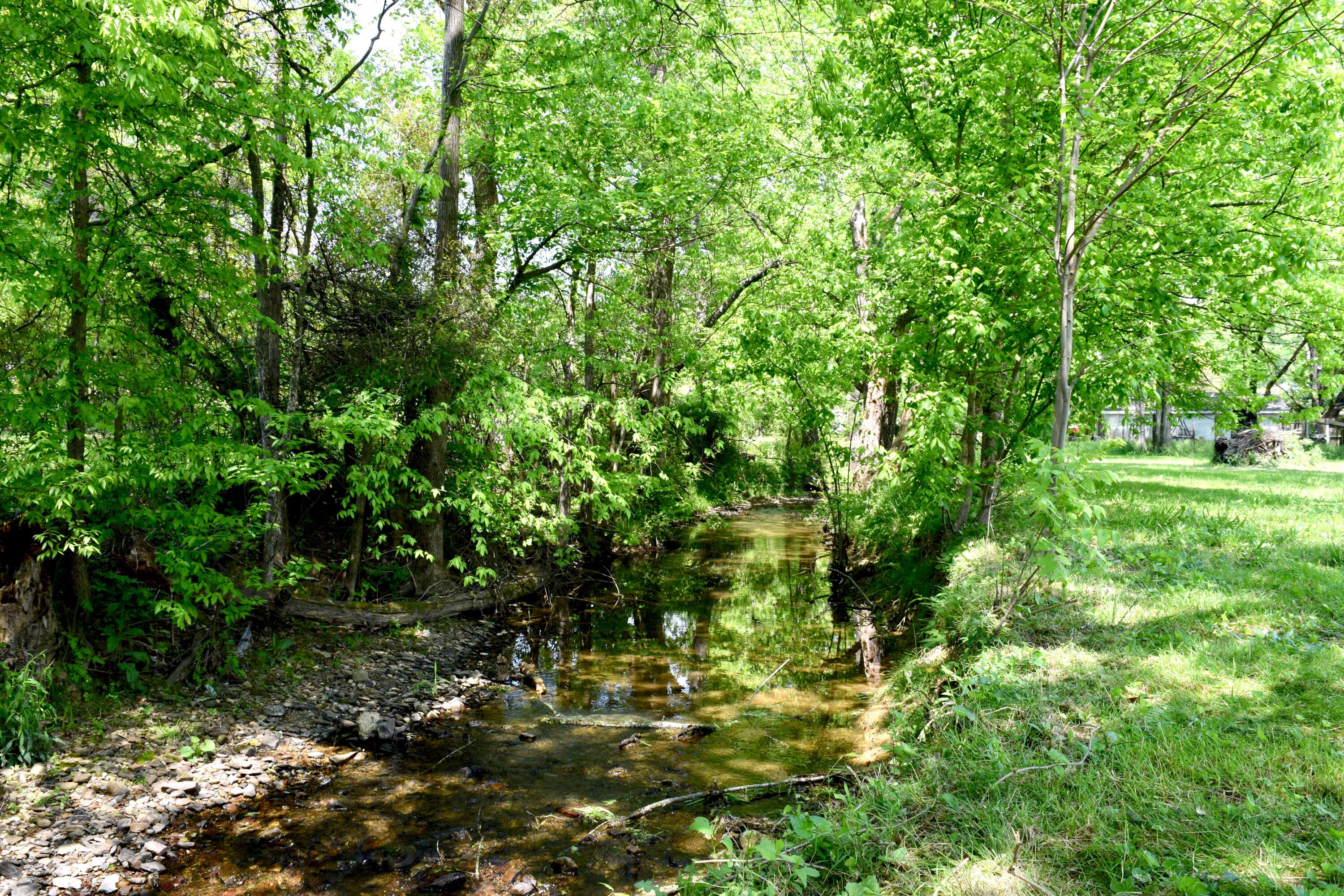 320 Maple Street Soddy Daisy, TN 37379 - Photo 24 of 31 DSC_0907