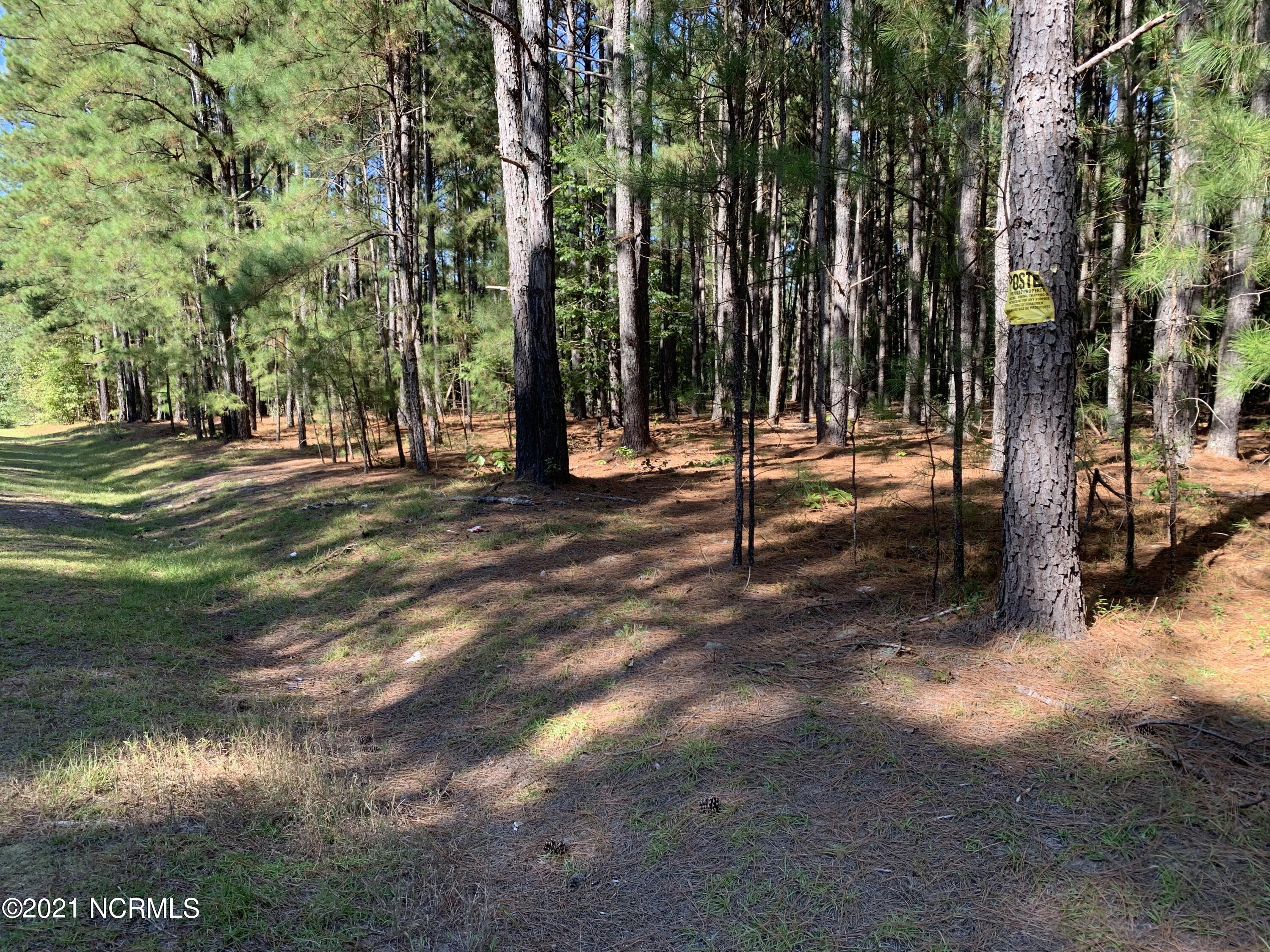 423 Morrison Bridge Road Vass, NC 28394 - Photo 1 of 1 Front