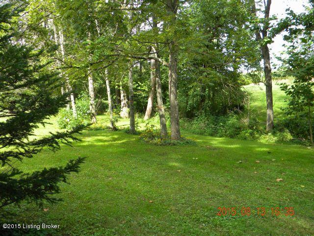 2179 Lagrange Road New Castle, KY 40050 - Photo 15 of 31 DSCN0680