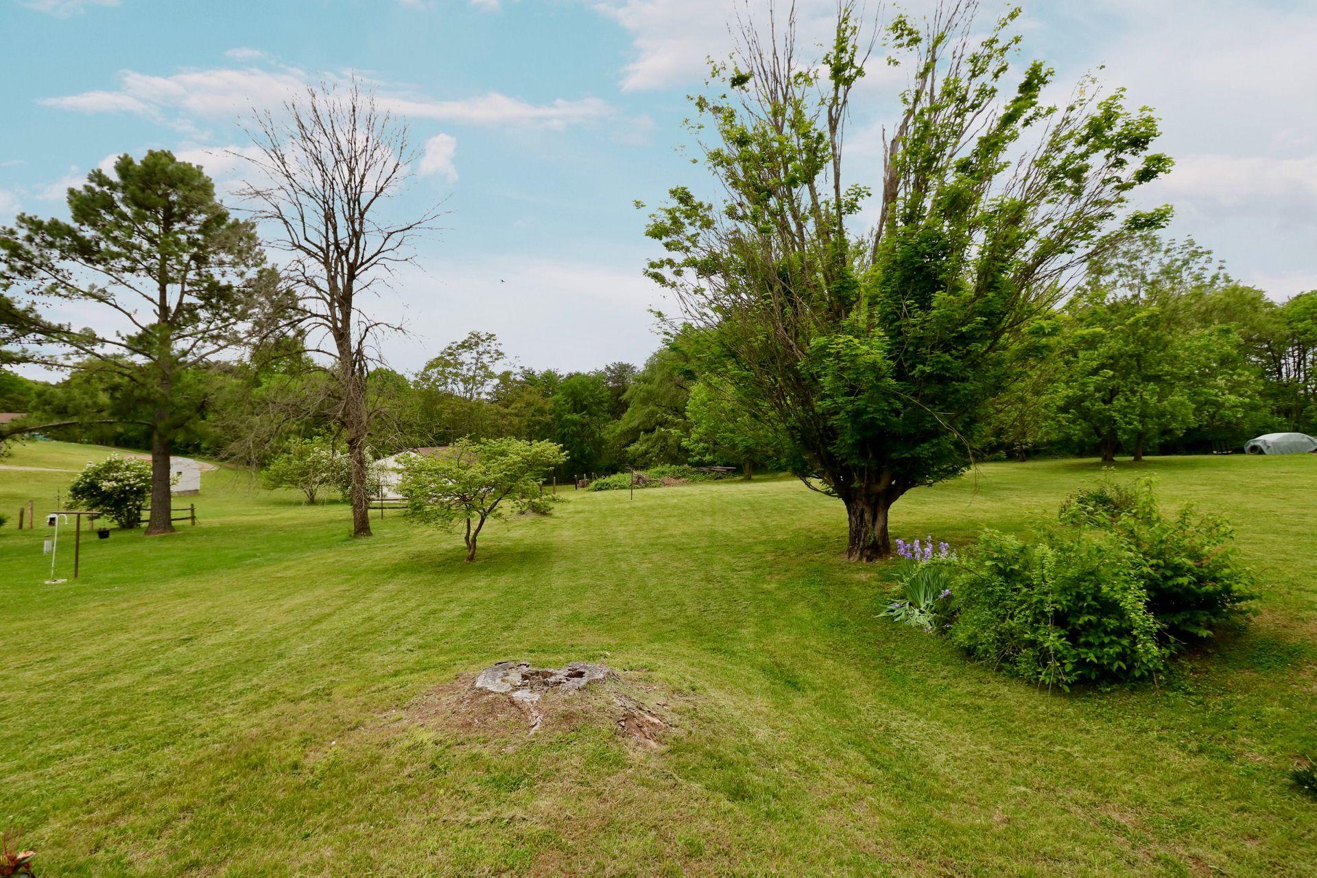 3221 Pitzer Road Roanoke, VA 24014 - Photo 37 of 60 yard 3