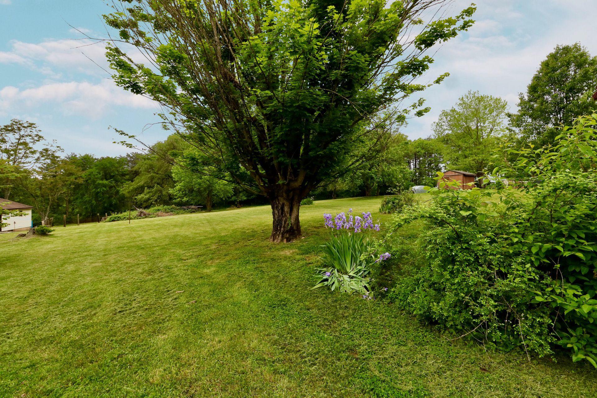 3221 Pitzer Road Roanoke, VA 24014 - Photo 41 of 60 yard 7