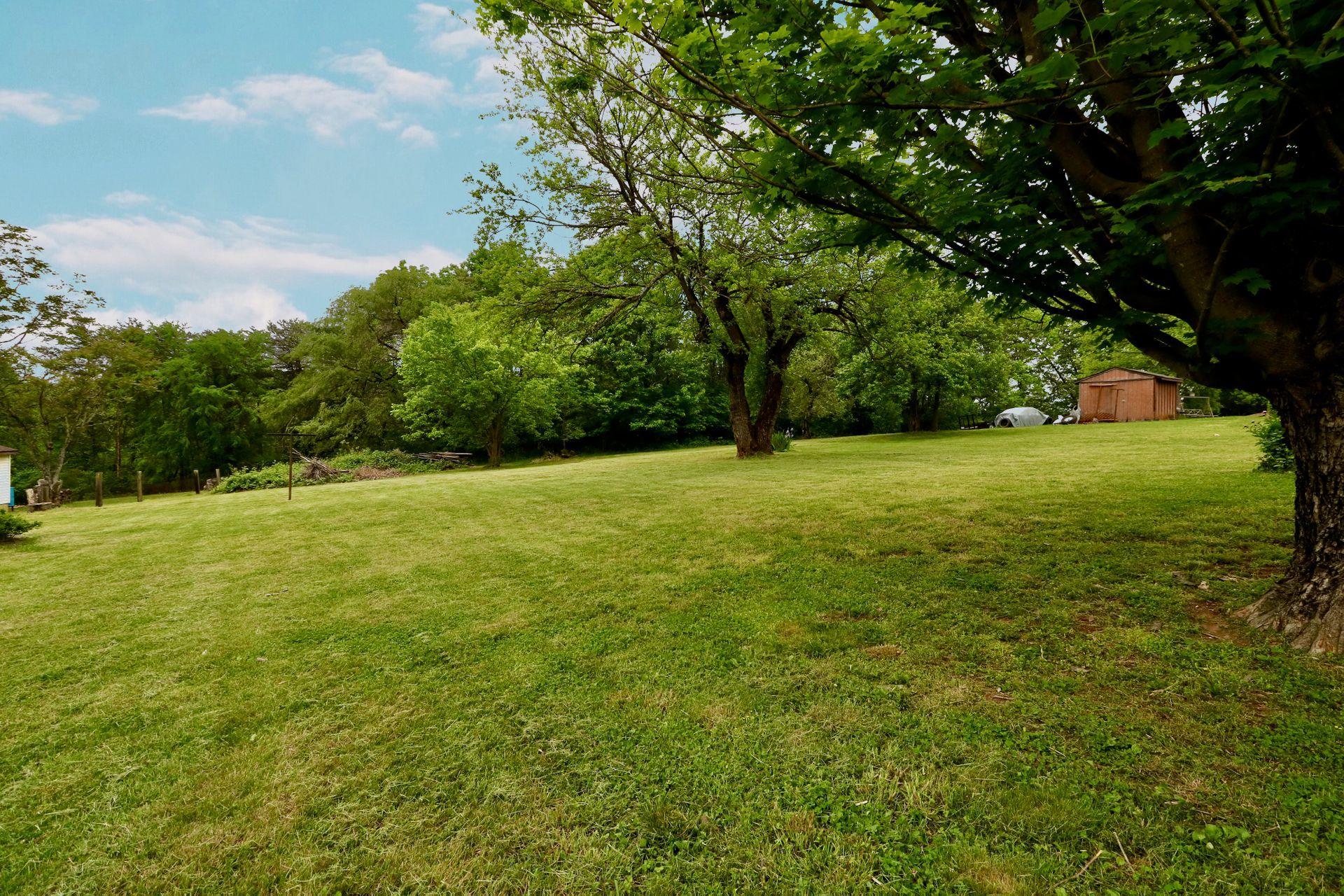 3221 Pitzer Road Roanoke, VA 24014 - Photo 42 of 60 yard 8
