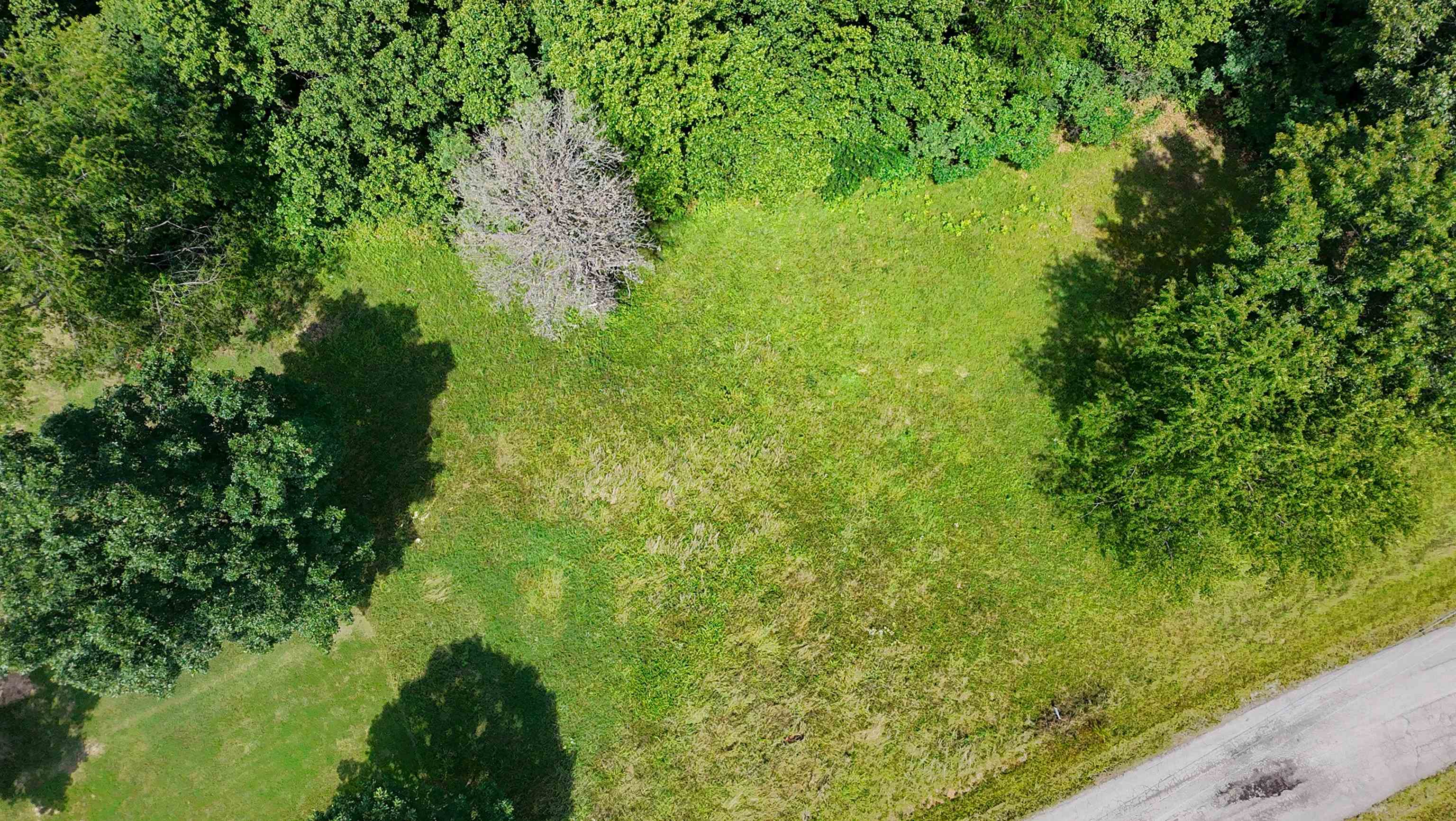 681 Hammer Mill Road Greenup, KY 41144 - Photo 2 of 5