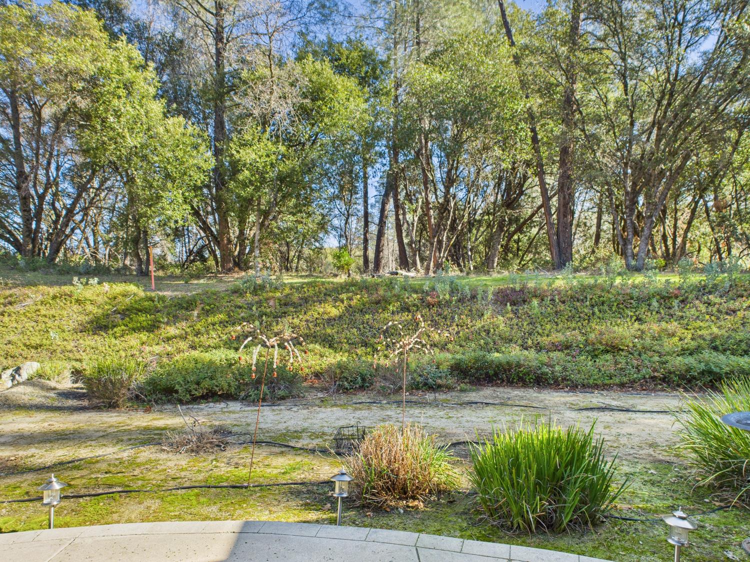 37550 Mountain Lakes Road Oakhurst, CA 93644 - Photo 23 of 63