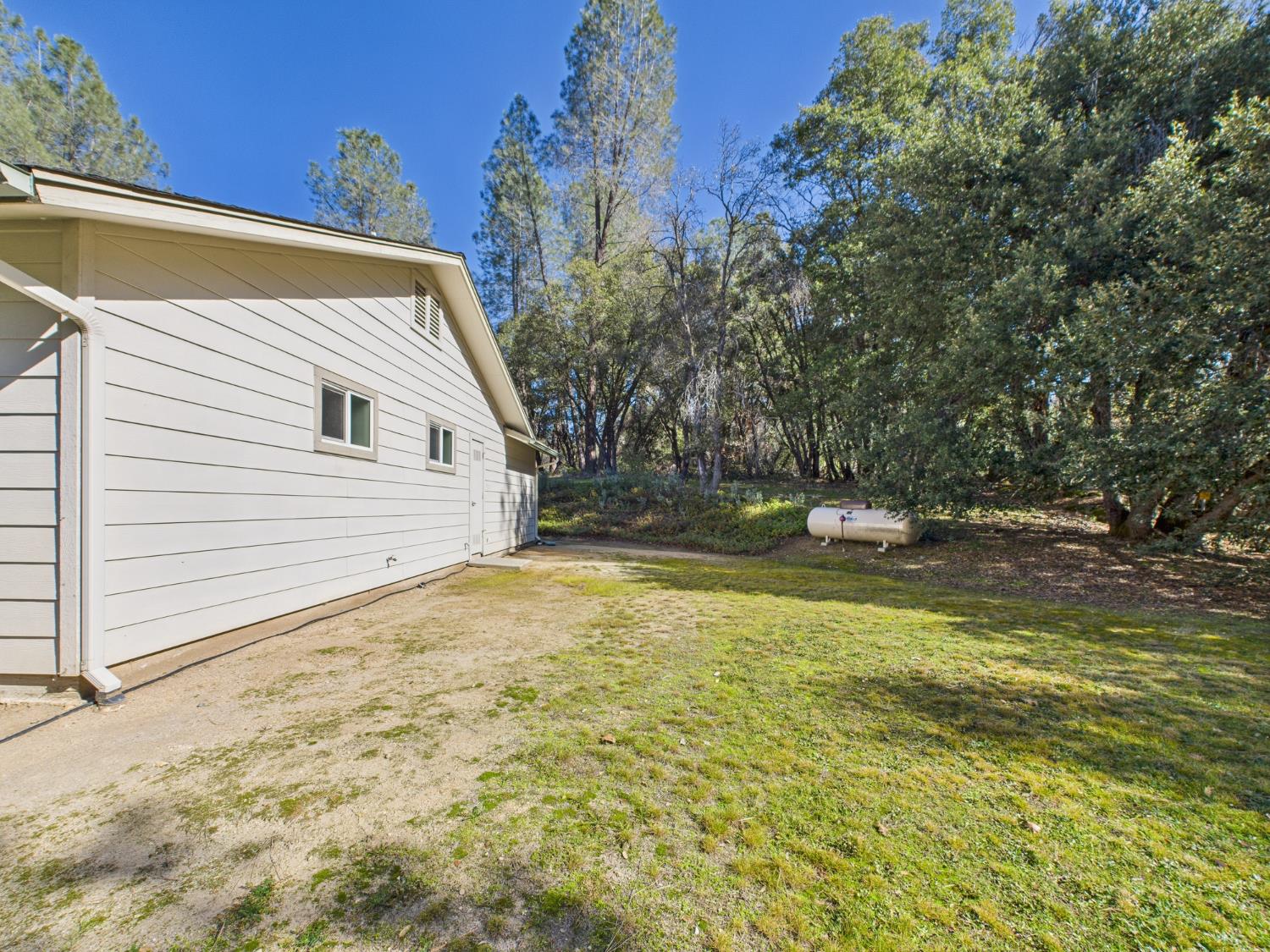 37550 Mountain Lakes Road Oakhurst, CA 93644 - Photo 50 of 63 a view of a backyard with plants and a small yard