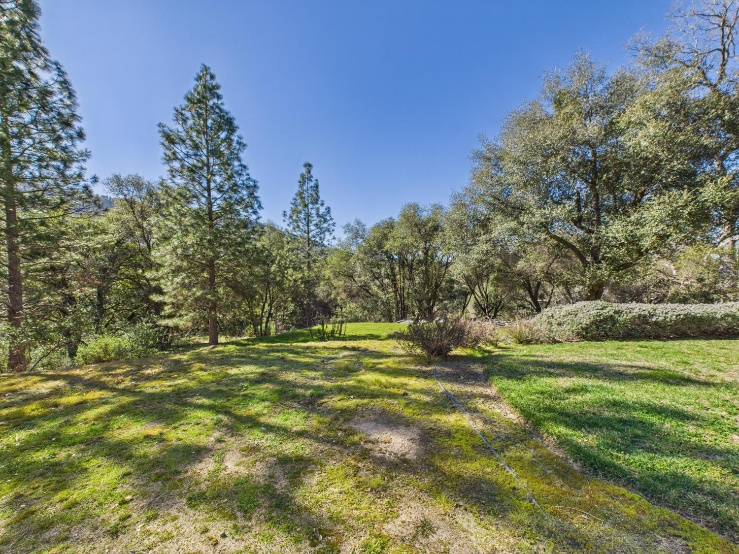 37550 Mountain Lakes Road Oakhurst, CA 93644 - Photo 51 of 63 a view of a field with trees in the background