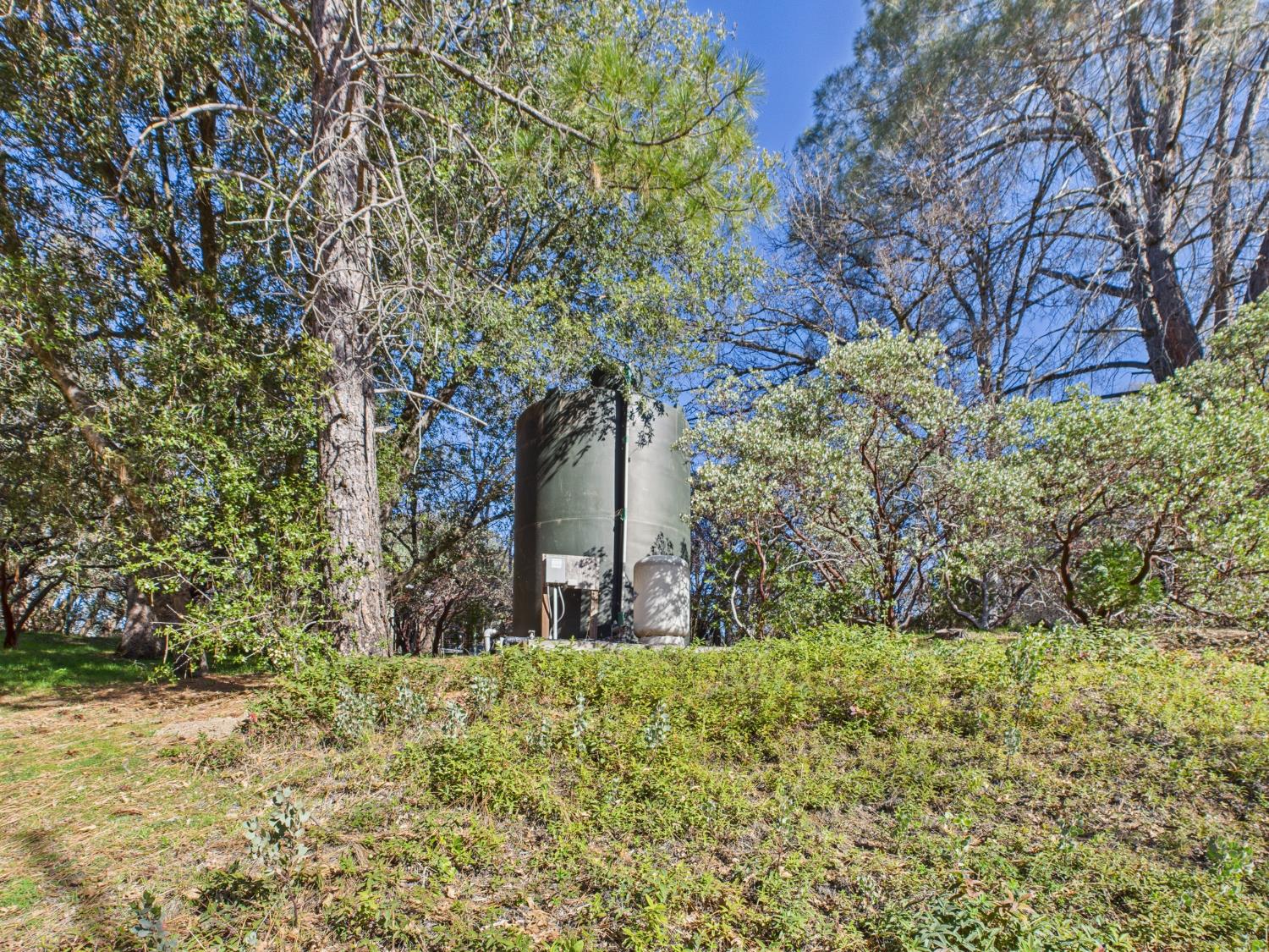 37550 Mountain Lakes Road Oakhurst, CA 93644 - Photo 53 of 63