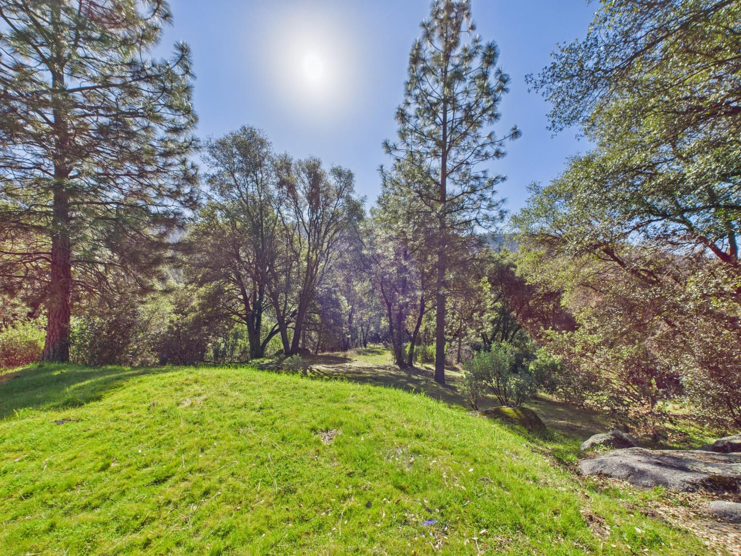 37550 Mountain Lakes Road Oakhurst, CA 93644 - Photo 54 of 63 a view of yard with green space