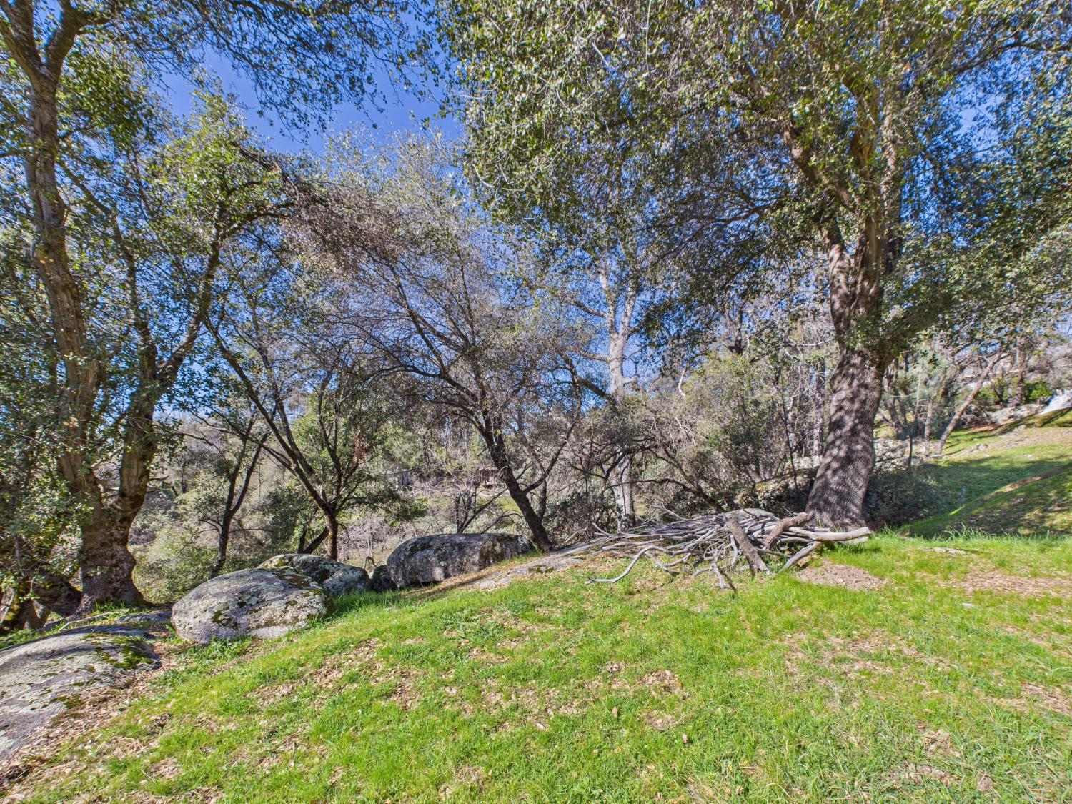 37550 Mountain Lakes Road Oakhurst, CA 93644 - Photo 55 of 63 a view of backyard with green space